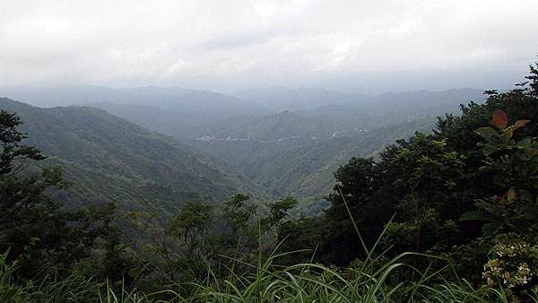 枝折峠からの景色